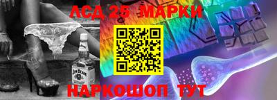 индика Шелехов